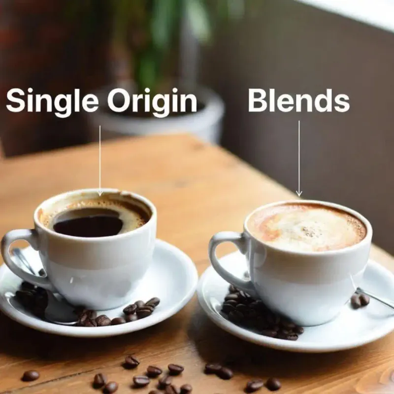 Single Origin vs. Blends: Which One Should You Choose in 2026?